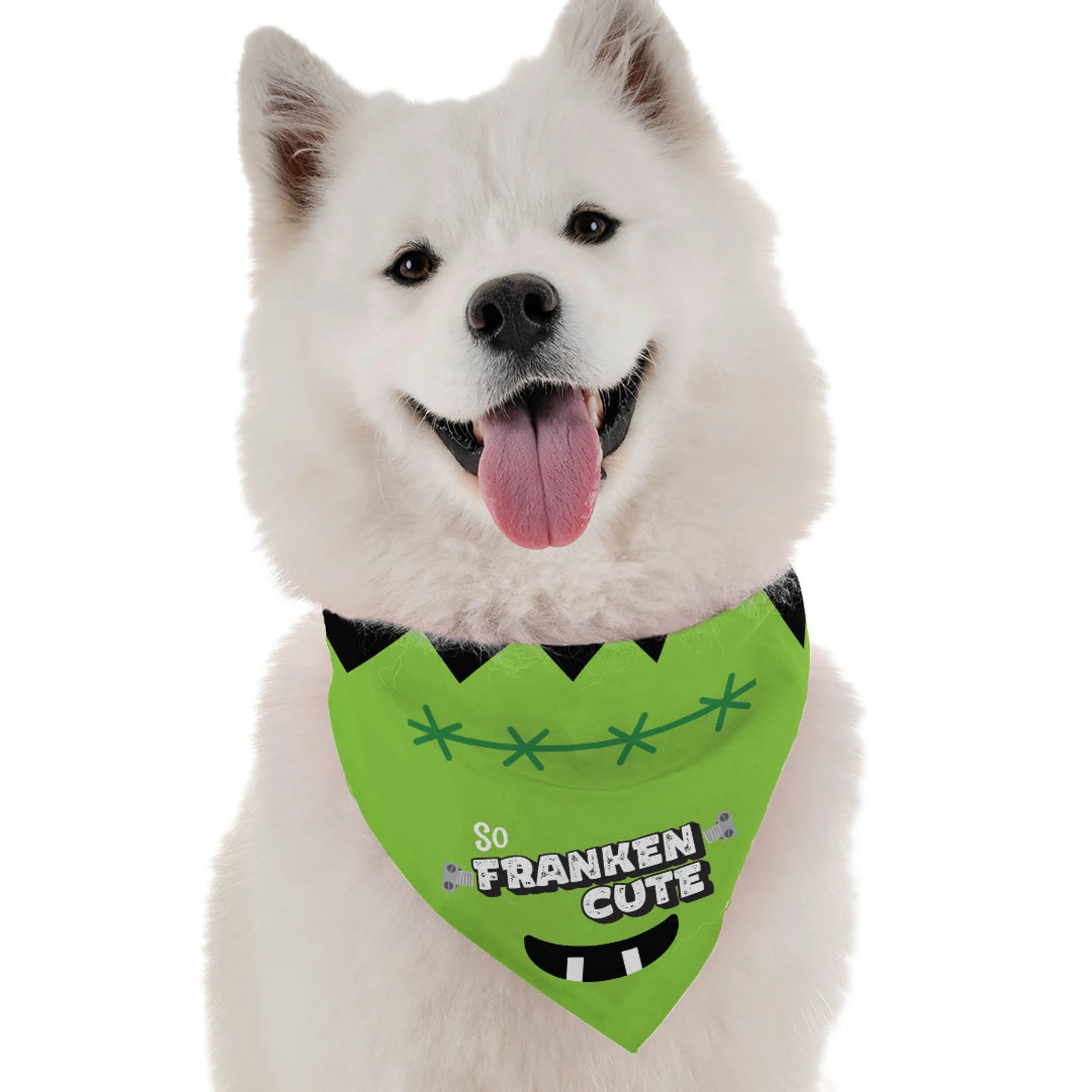 Bandoggies So Franken Cute Halloween Pet Bandana