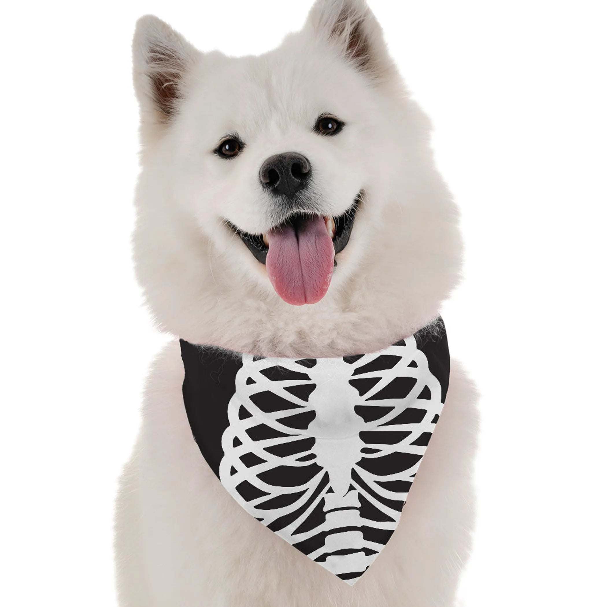 Bandoggies Skeleton Costume Pet Bandana