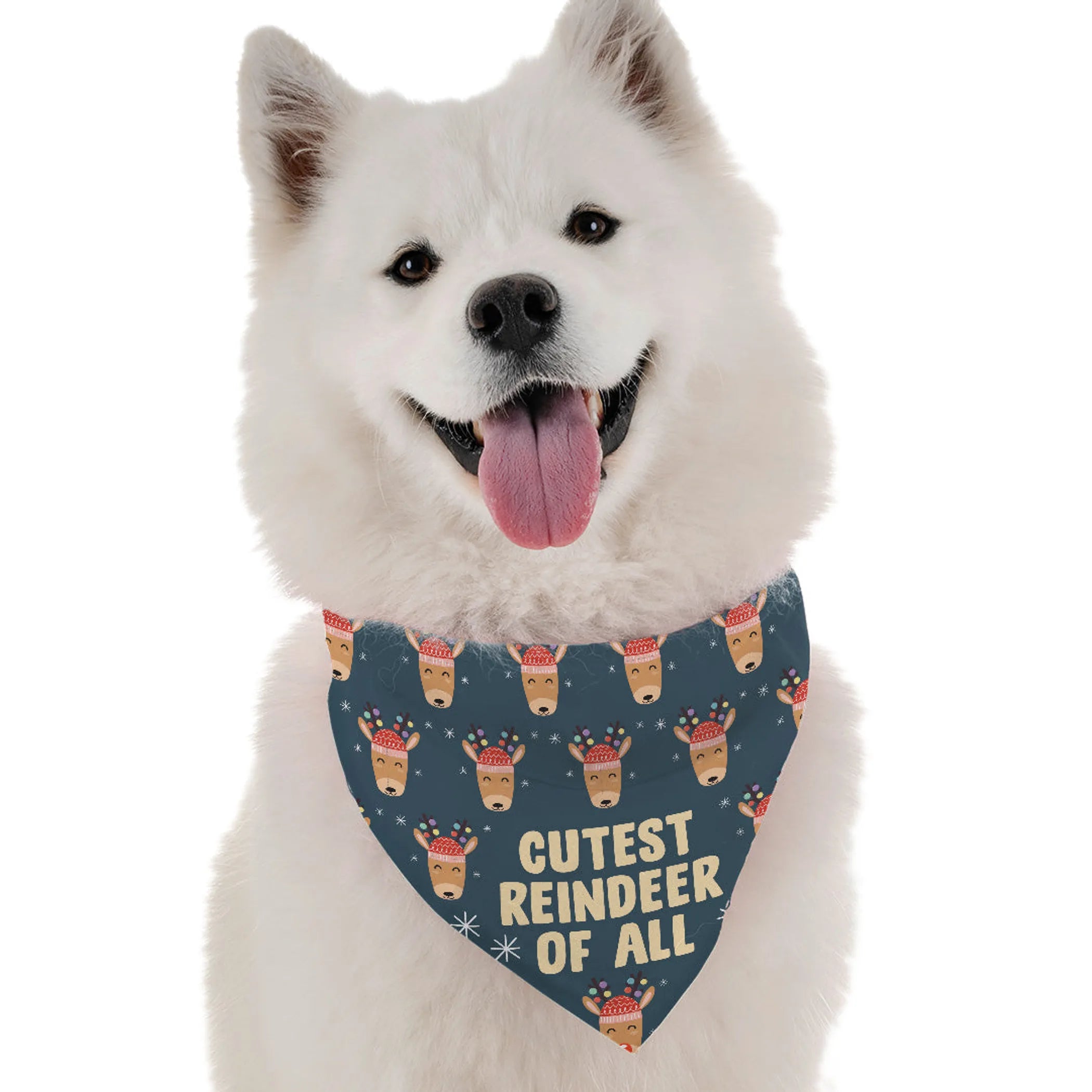 Bandoggies Cutest Reindeer of All Pet Bandana