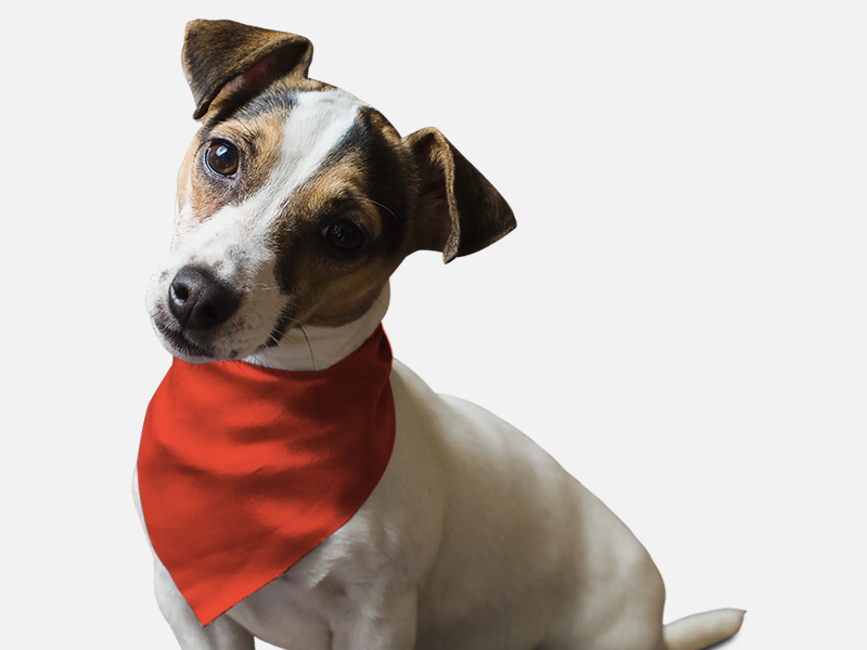 Bandoggies Solid Fire Hydrant Red Bandana