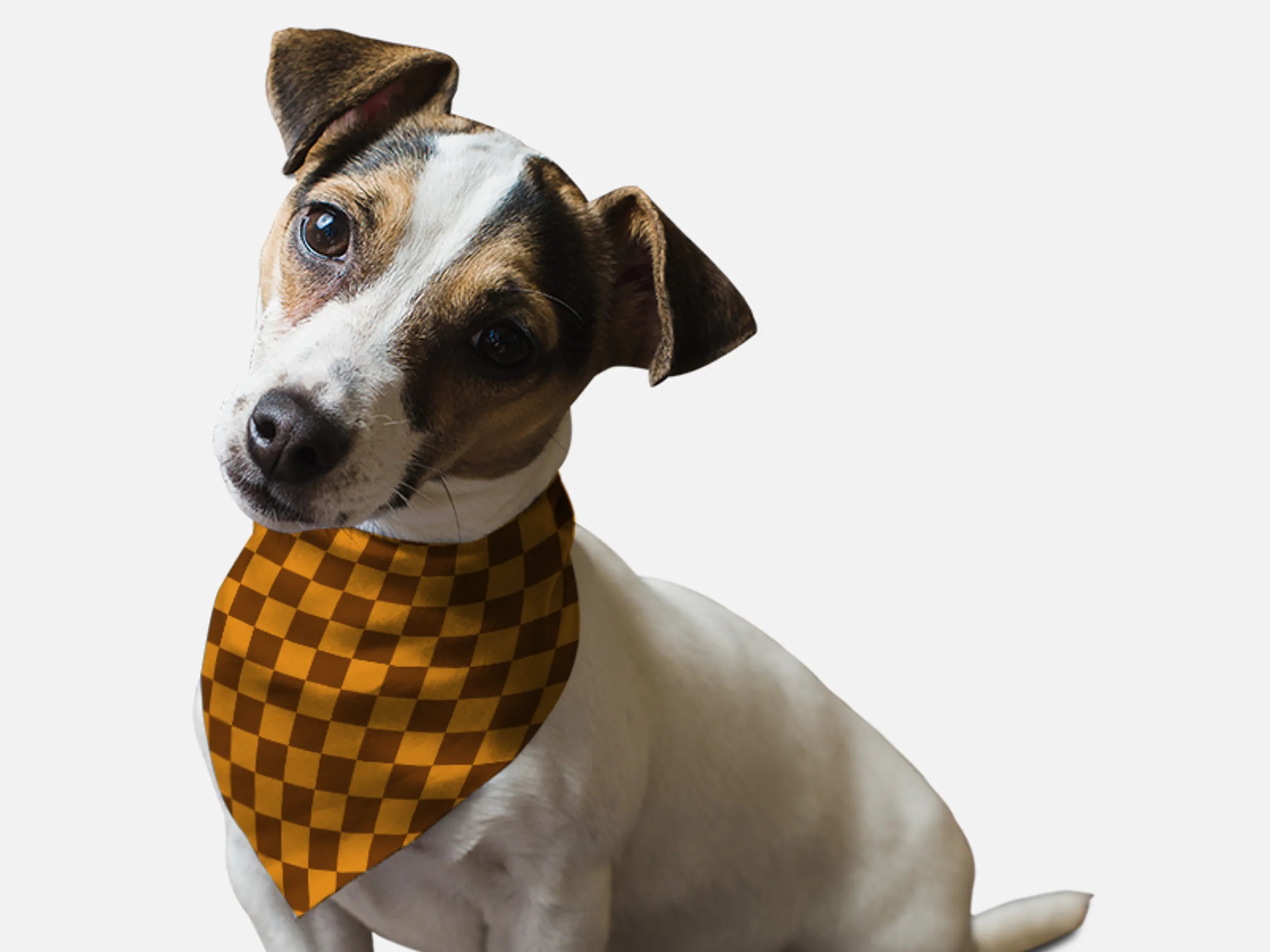 Bandoggies 1930’s Retro Style Pet Bandana