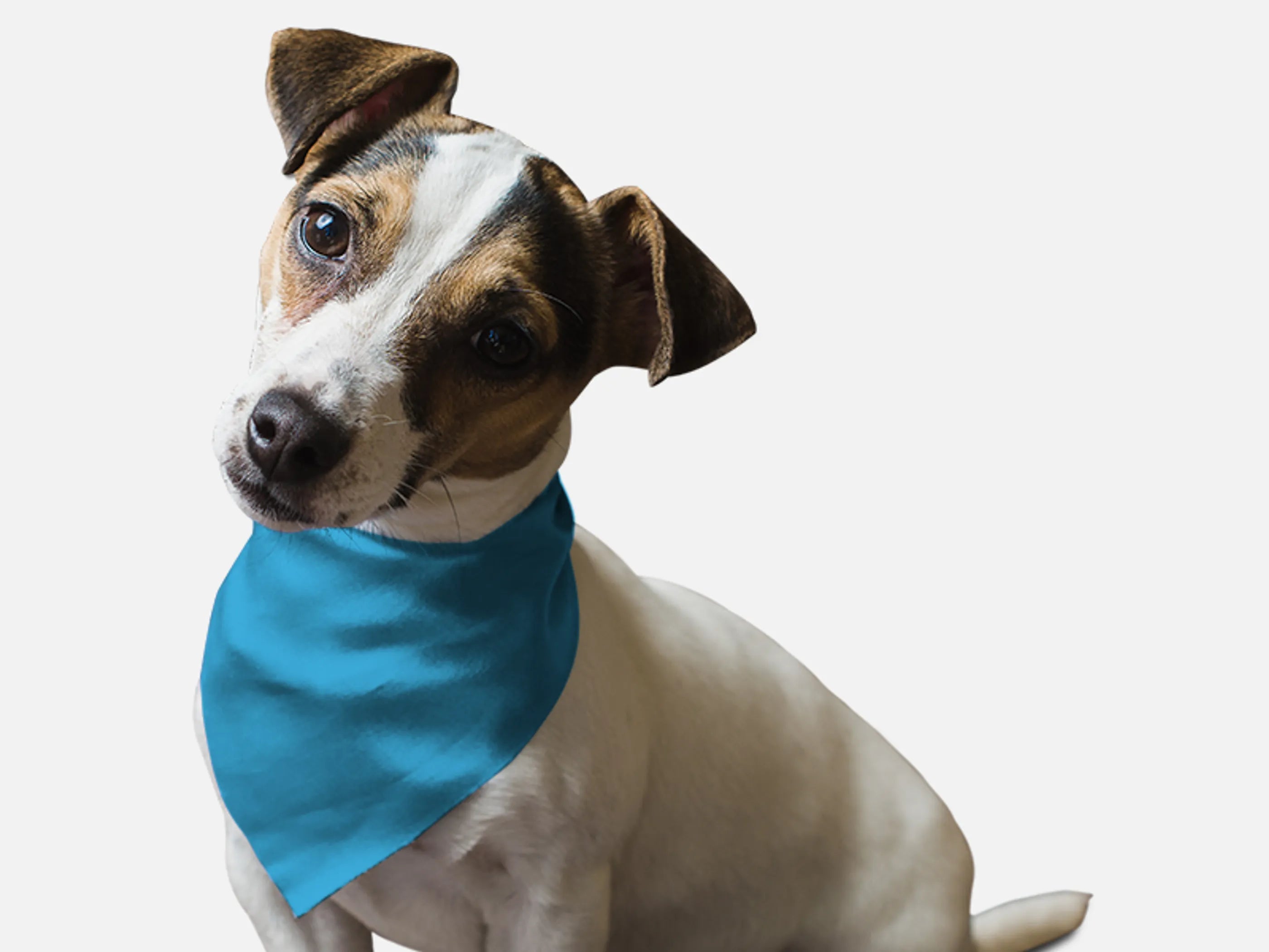 Bandoggies Solid Sky Blue Pet Bandana