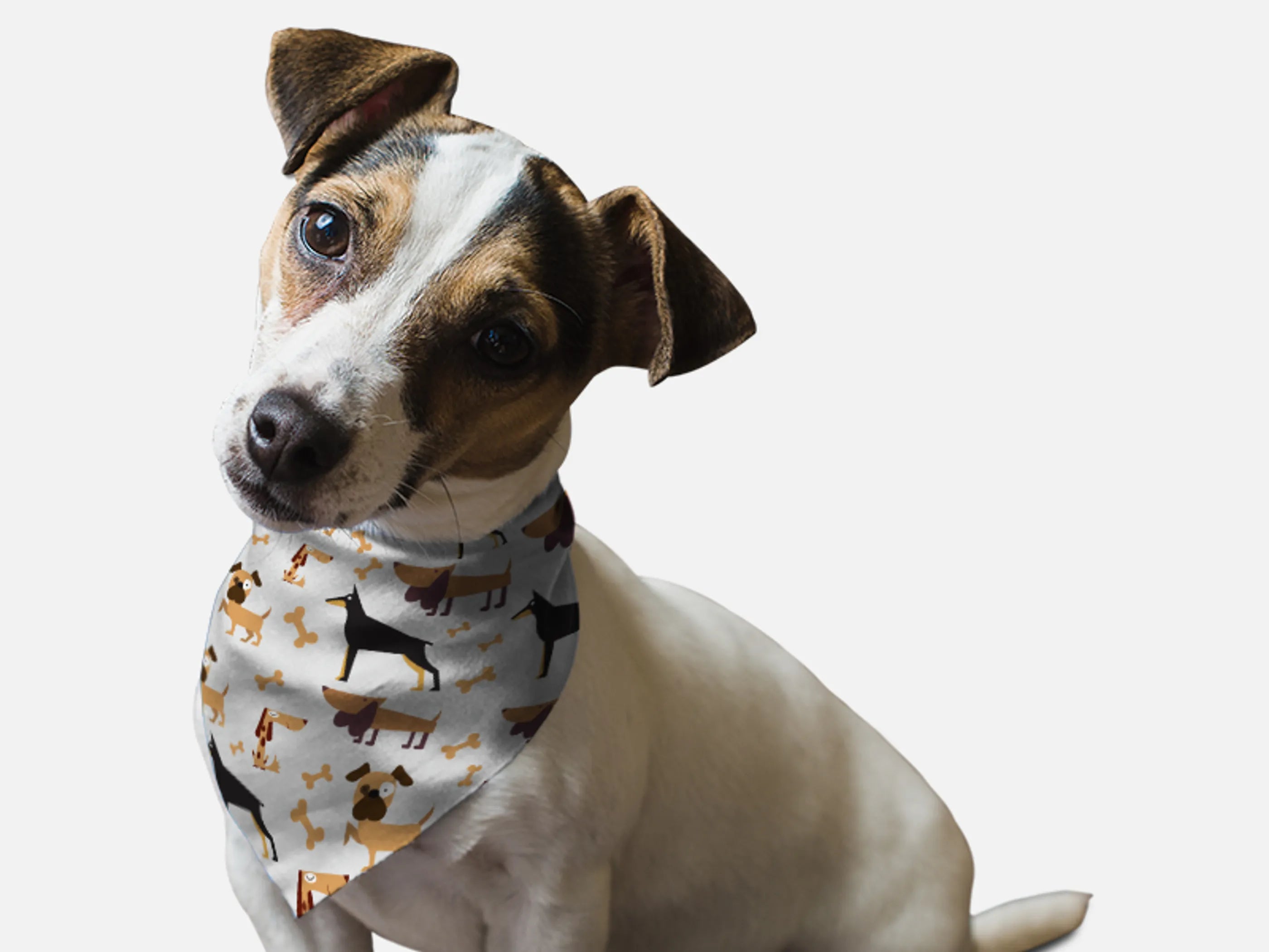 Bandoggies Guard Dog Pet Bandana