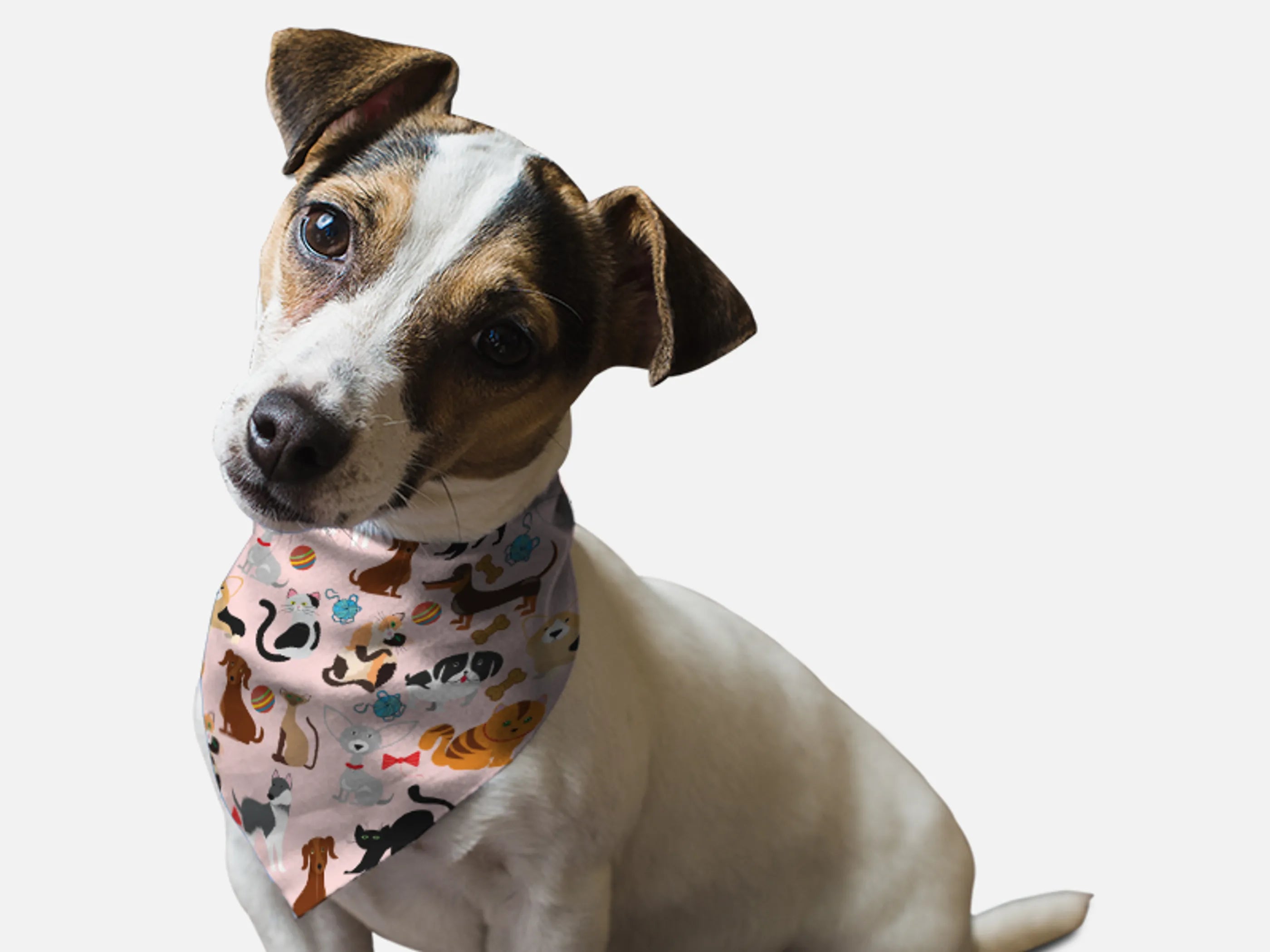 Bandoggies Playtime Pets Bandana