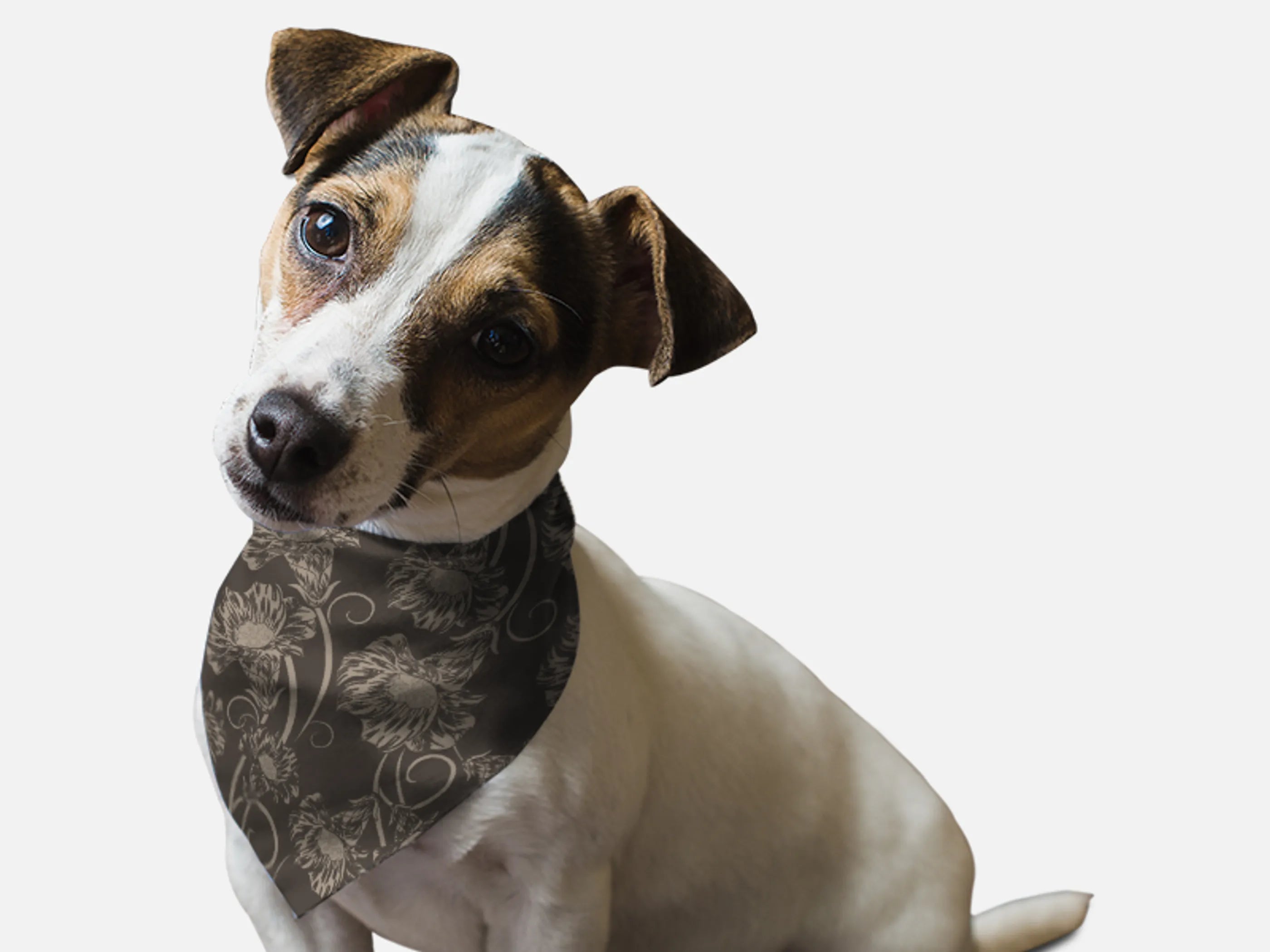 Bandoggies 1950’s Retro Style Pet Bandana