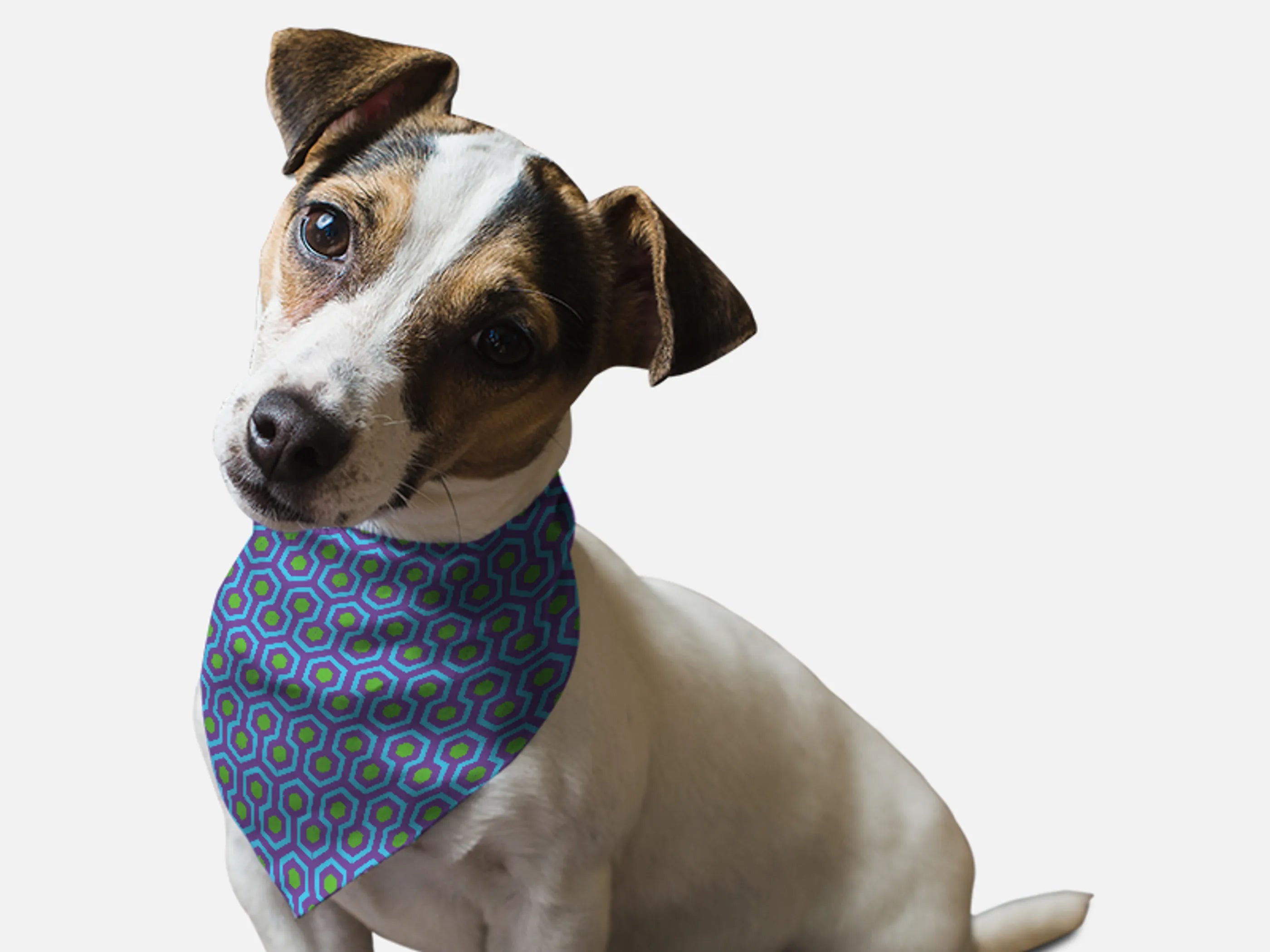 Bandoggies Retro 1960s Pet Bandana