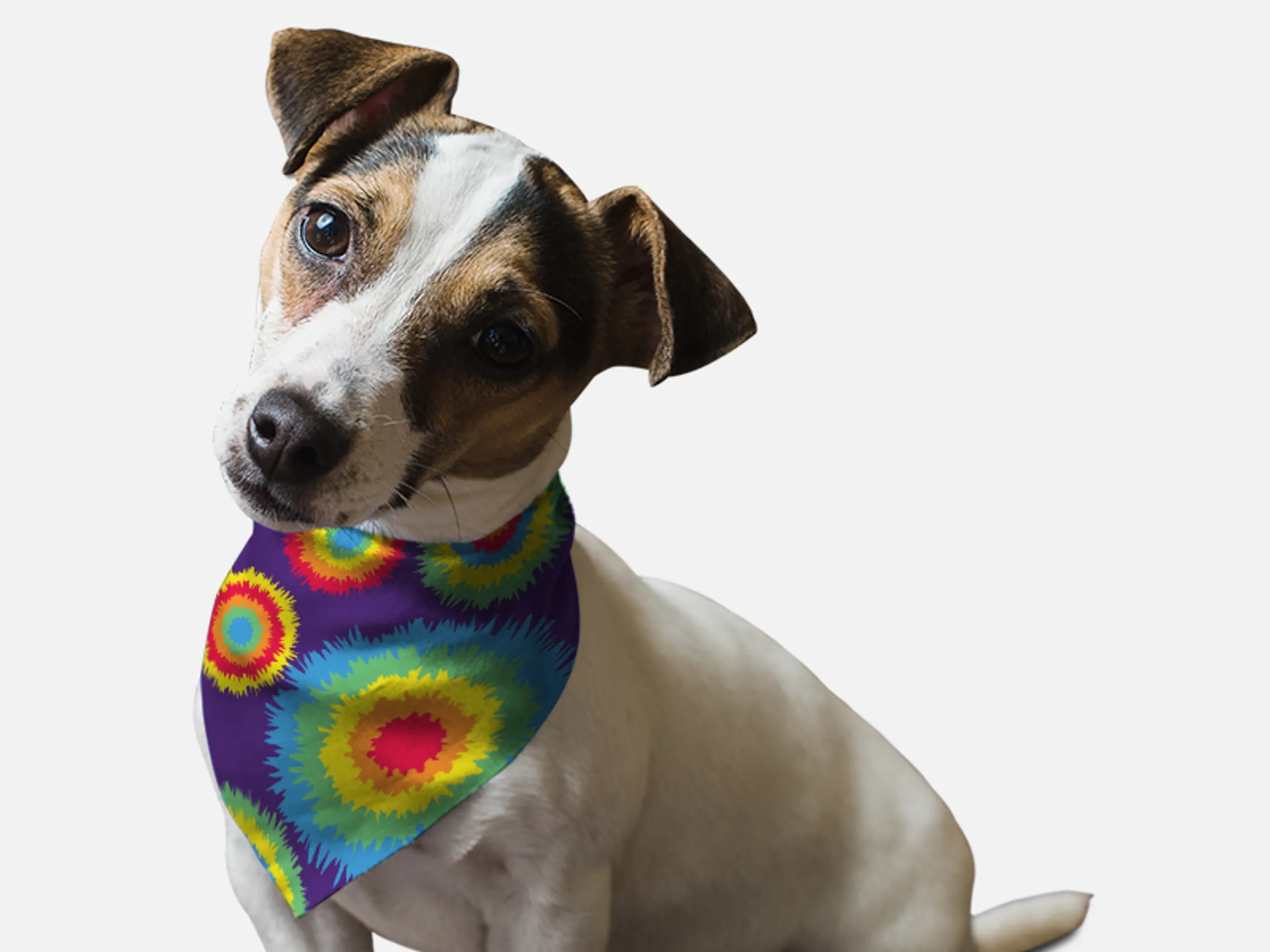 Bandoggies Retro 1970s Pet Bandana