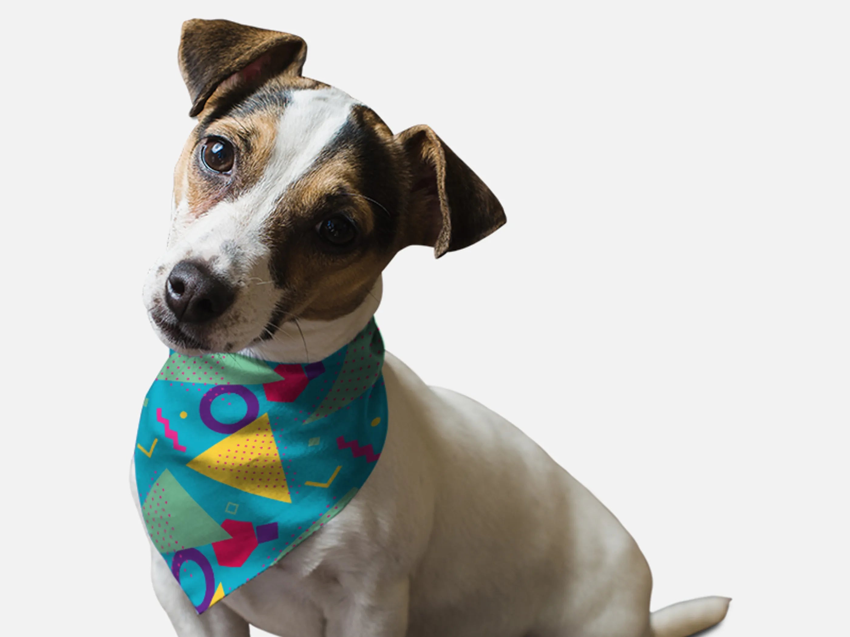 Bandoggies Retro 1980s Pet Bandana