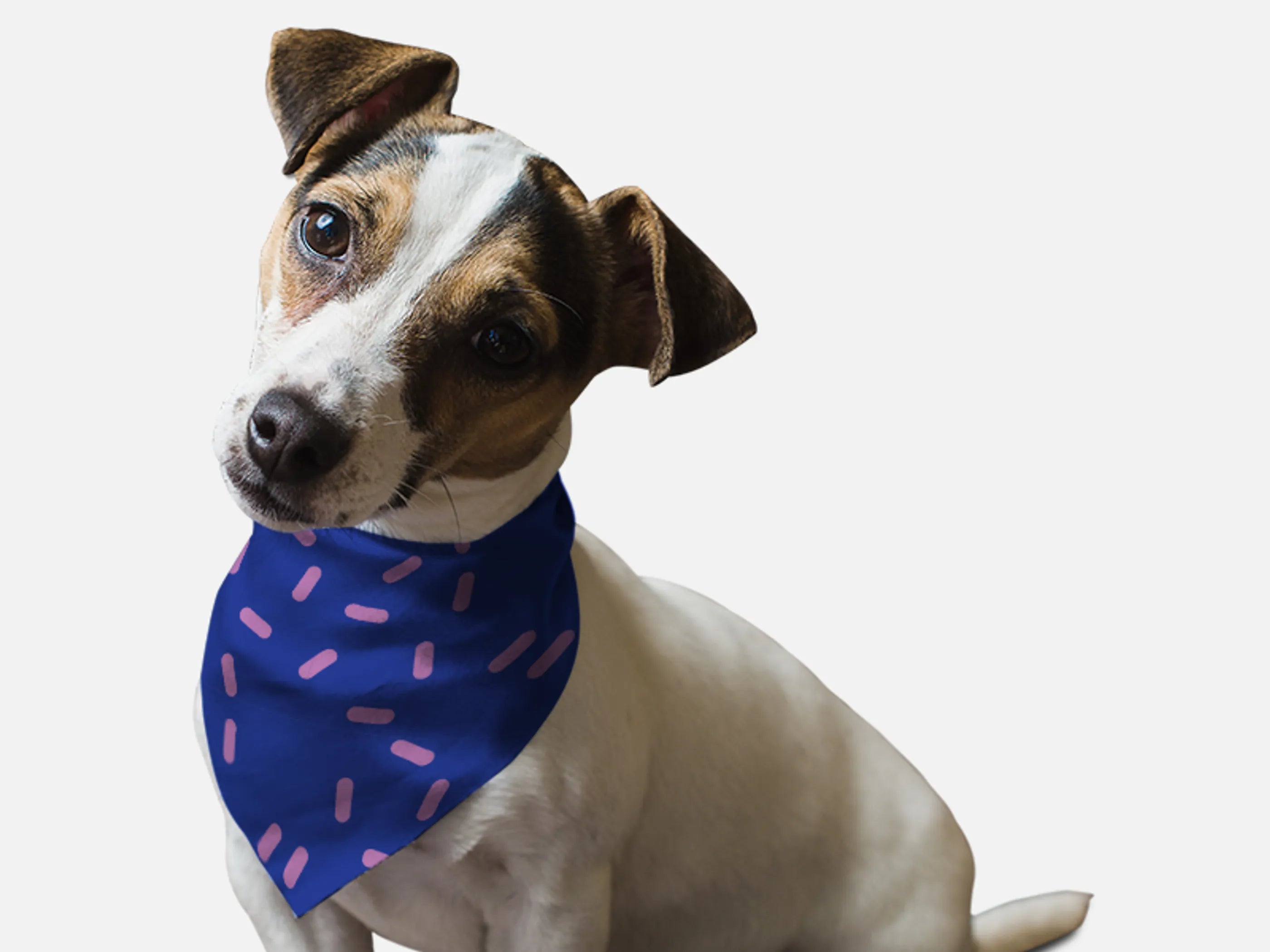 Bandoggies Sprinkles Please! Pet Bandana