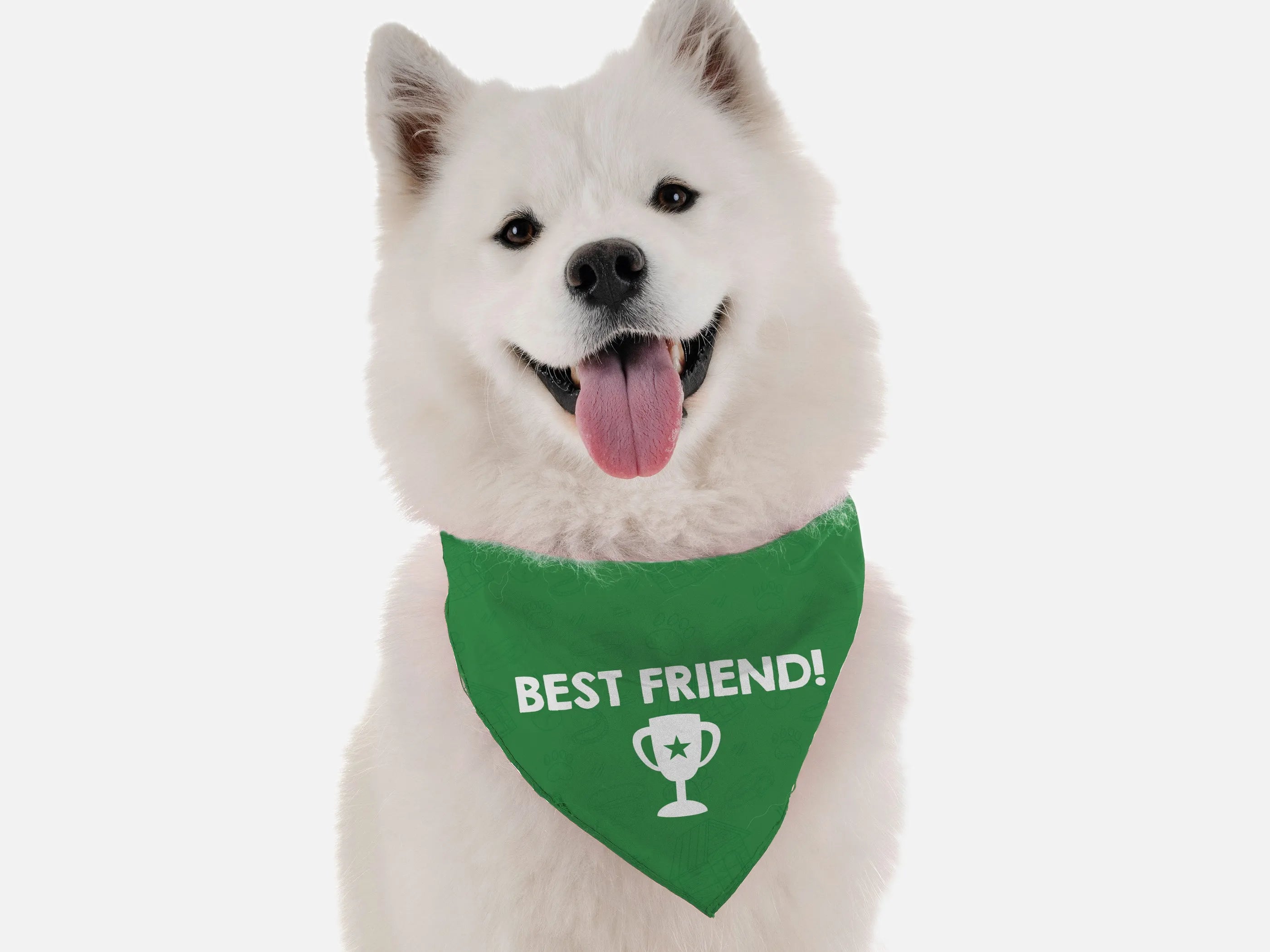 Bandoggies Best Friend Pet Bandana