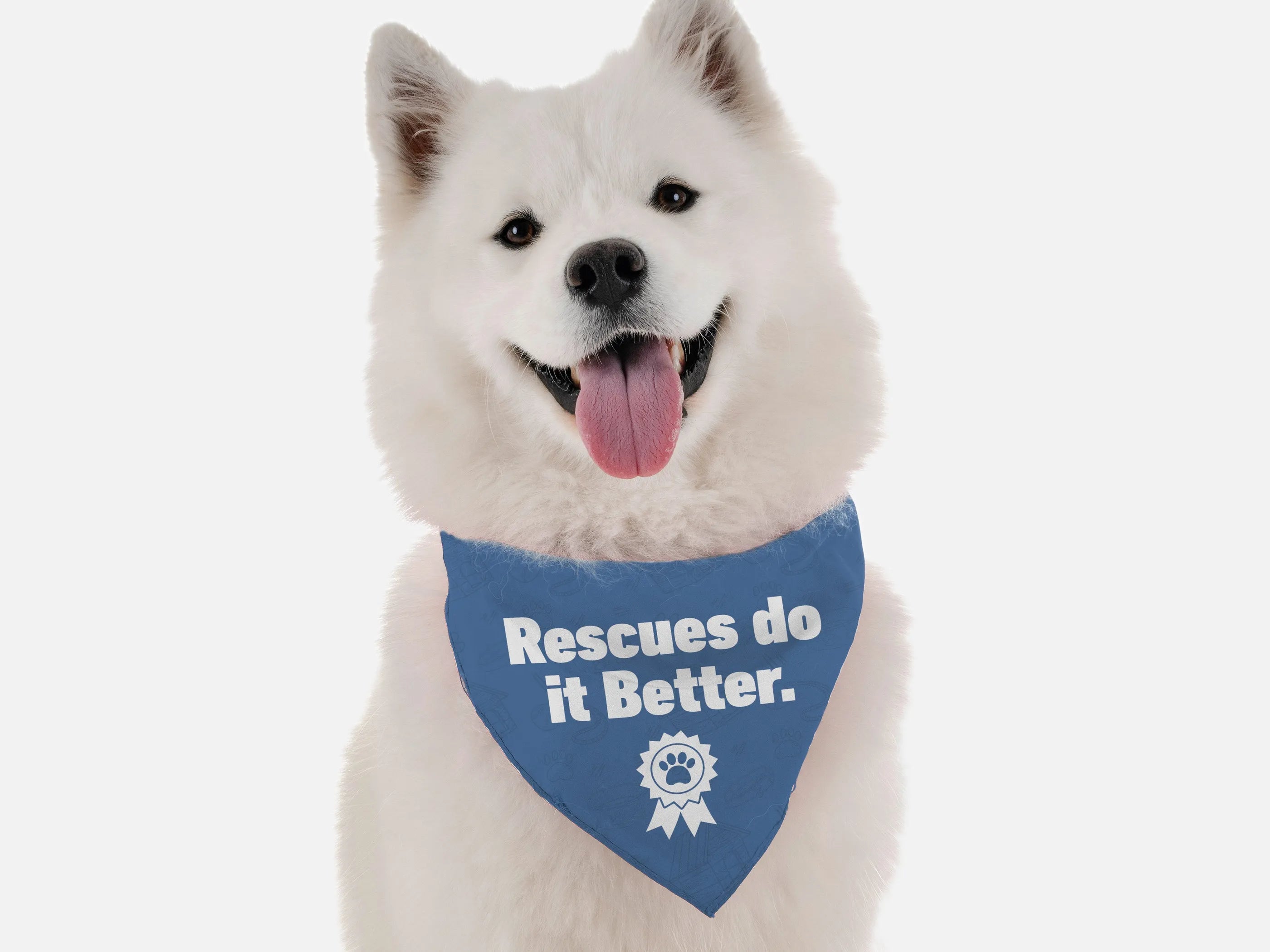 Bandoggies Rescues Do It Better Pet Bandana