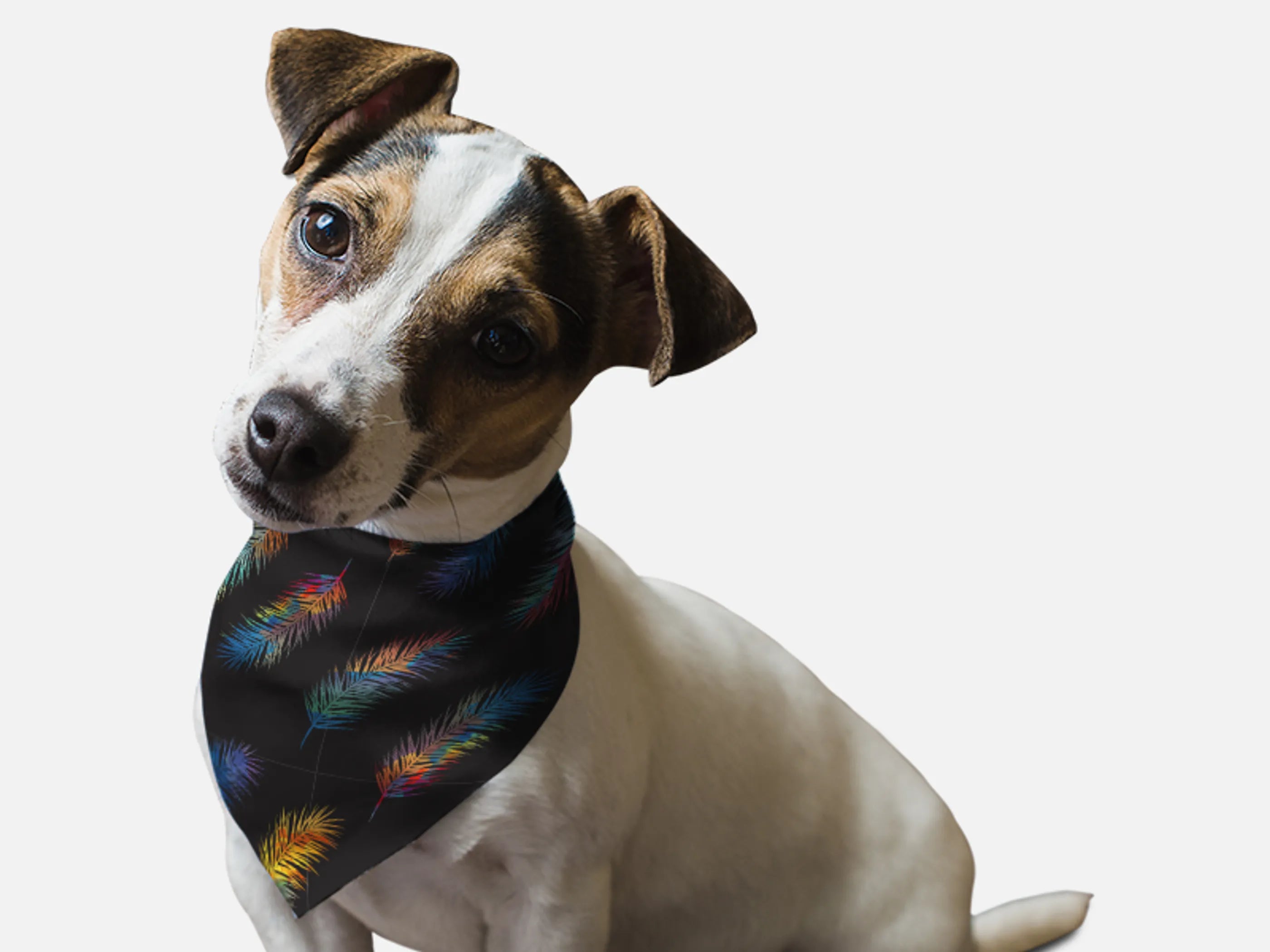 Bandoggies Summer Feather Pet Bandana