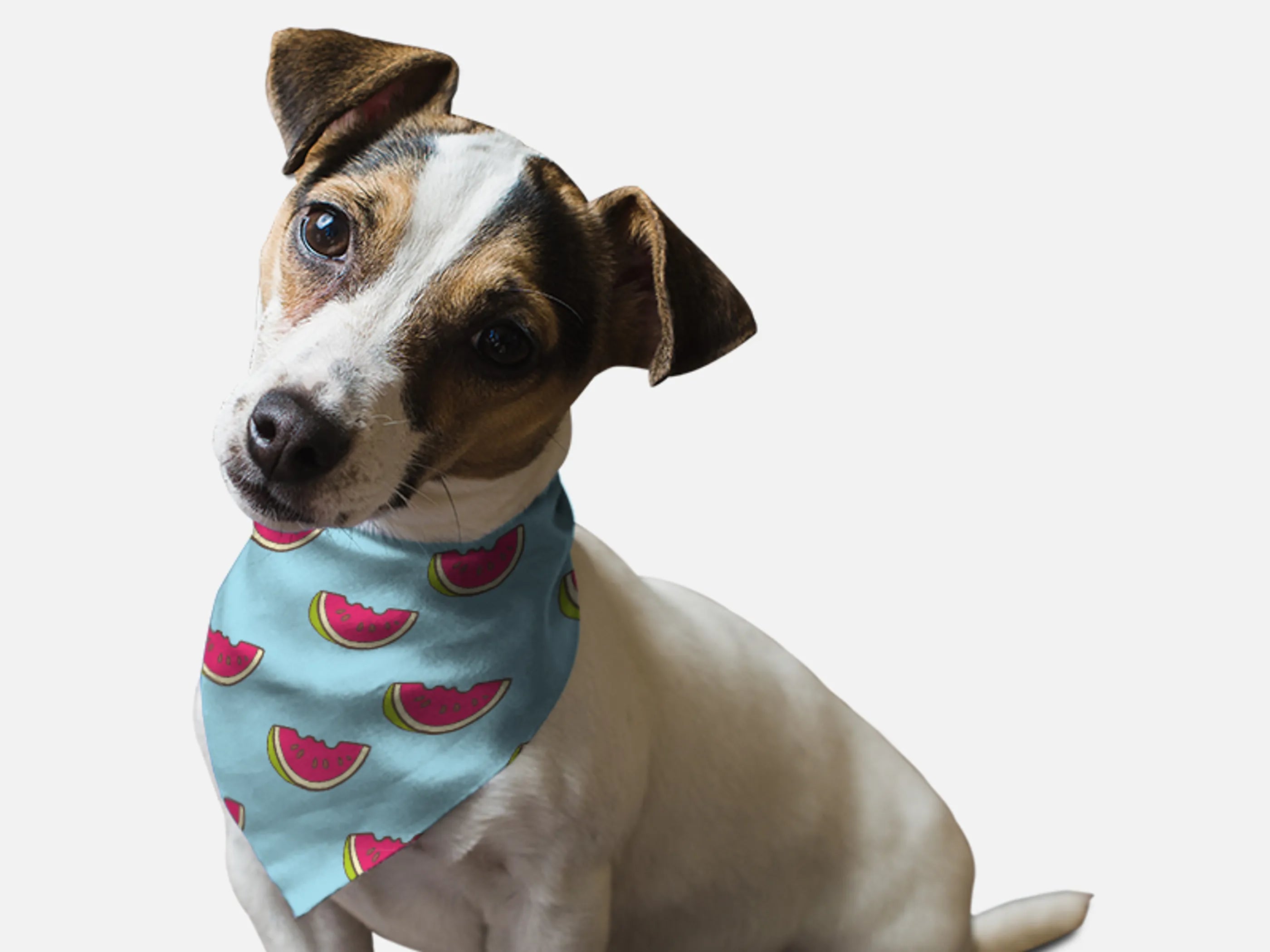 Bandoggies Summer Watermelon Pet Bandana