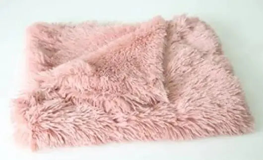 My Fuzzy Fashionista Pet Blanket