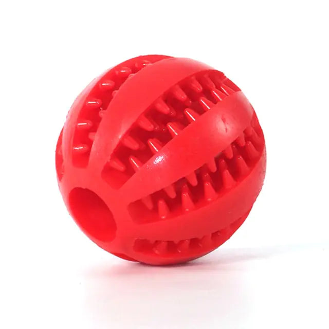 Interactive Rubber Fetch & Chew Toy