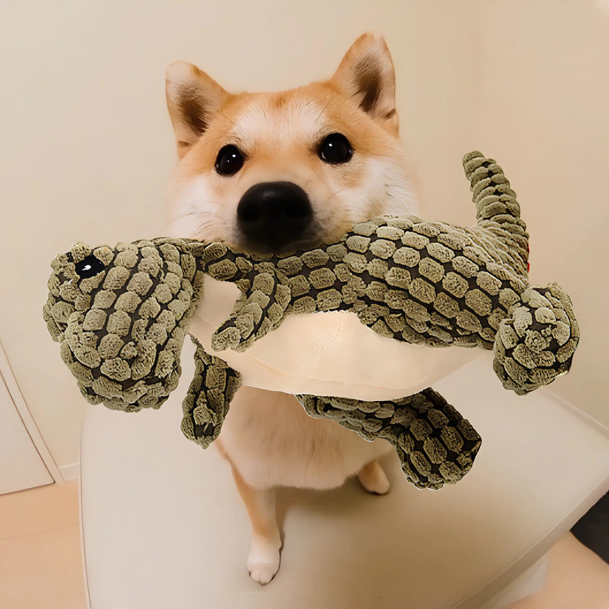 The Ultimate Dinosaur Dog Toys