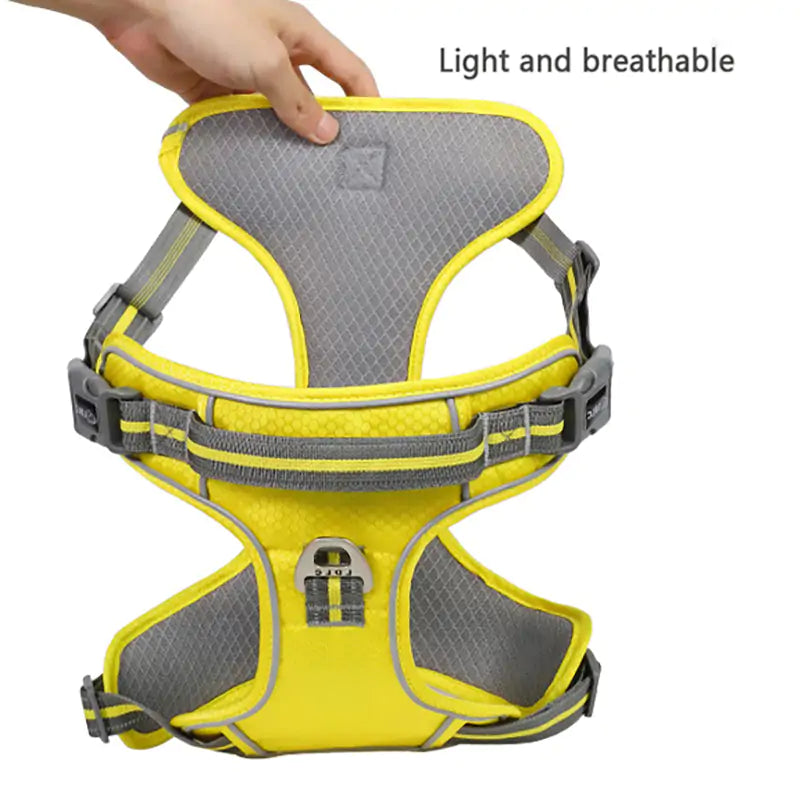 The Ideal Dog Harness