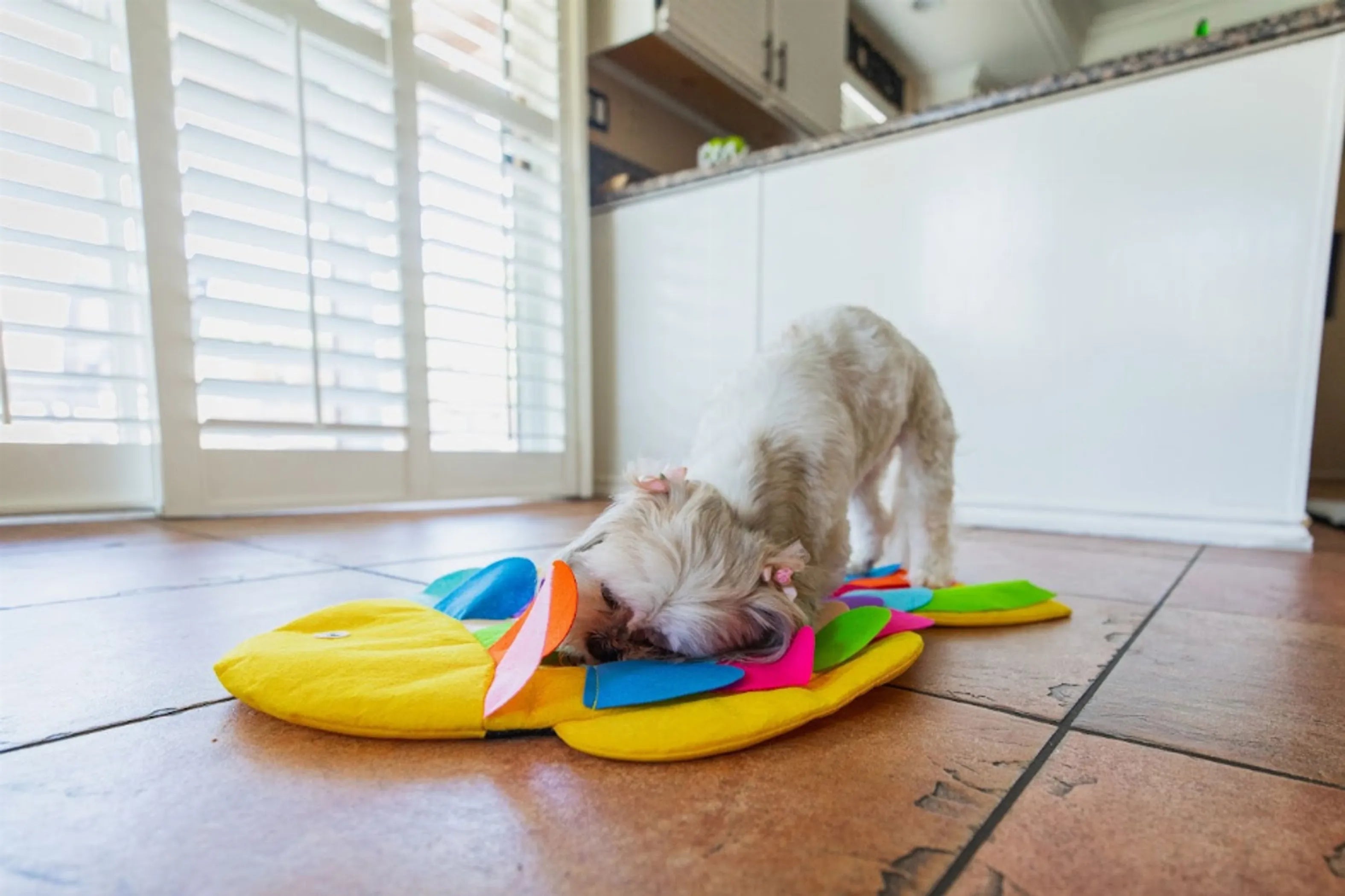 Snuffle Mat Puzzle Pad by Petique