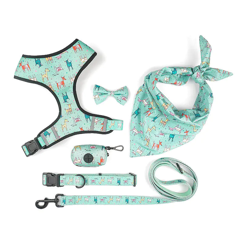 The Ultimate Leash, Harness, Scarf, and Bow Set