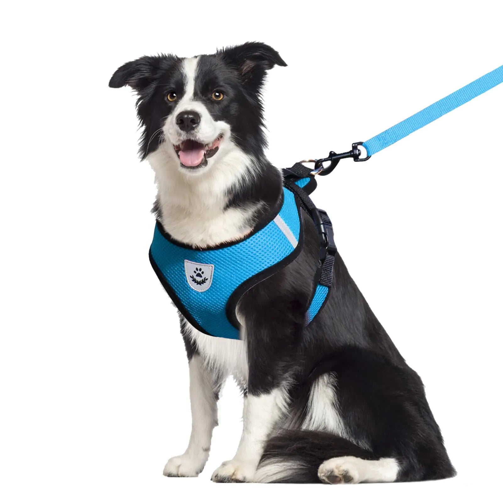 Anti- Escape Adjustable Soft Mesh Dog Leash and Harness Set
