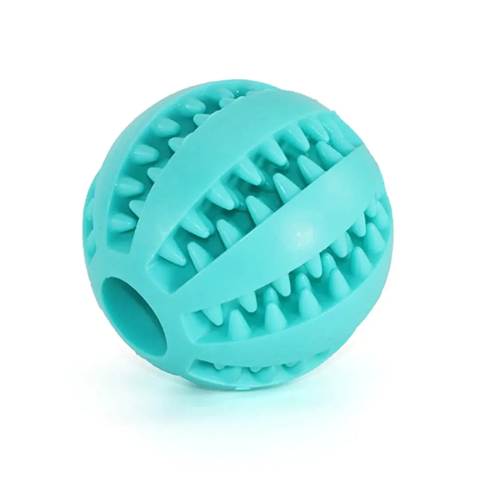Interactive Rubber Fetch & Chew Toy