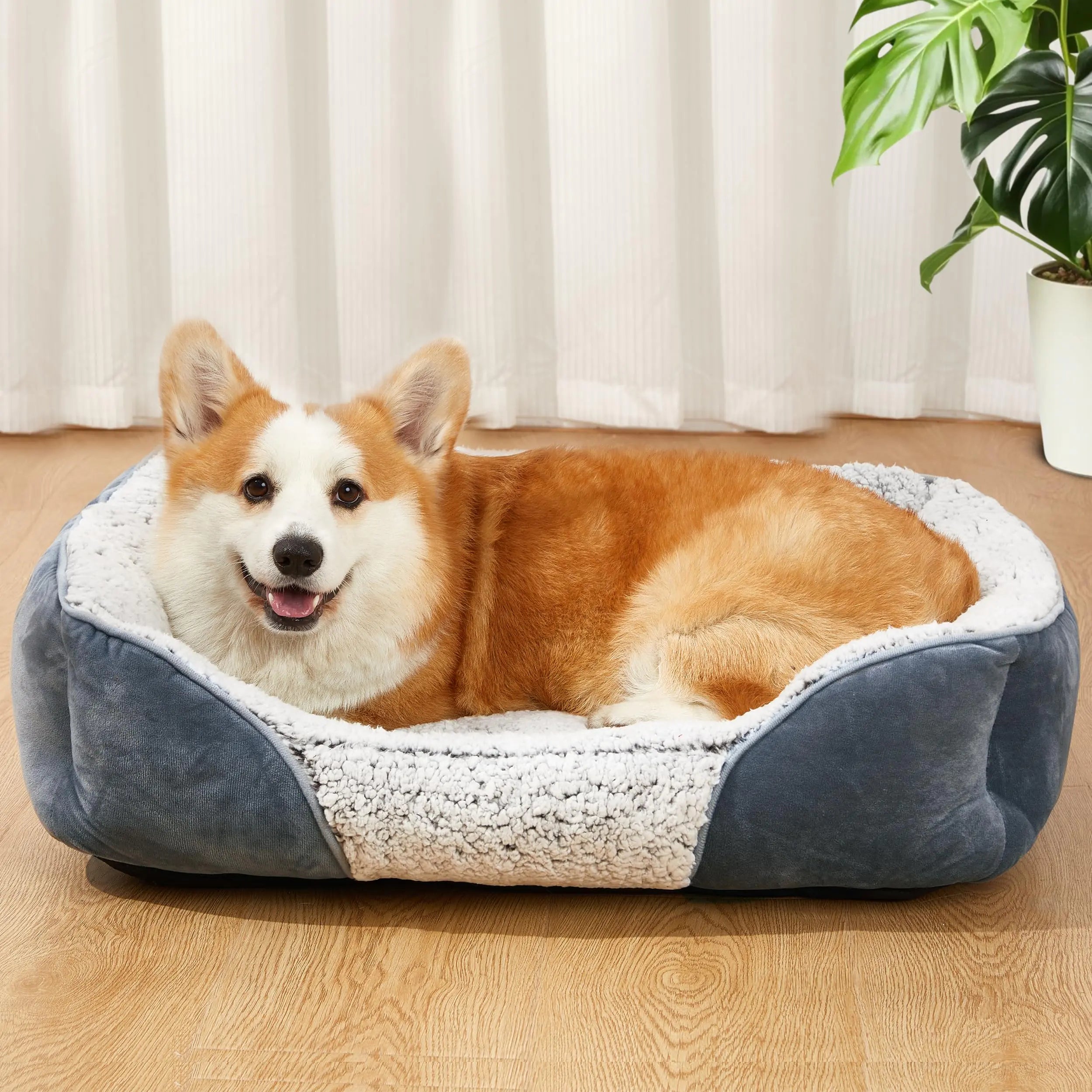 Orthopedic Bed for Small Dogs