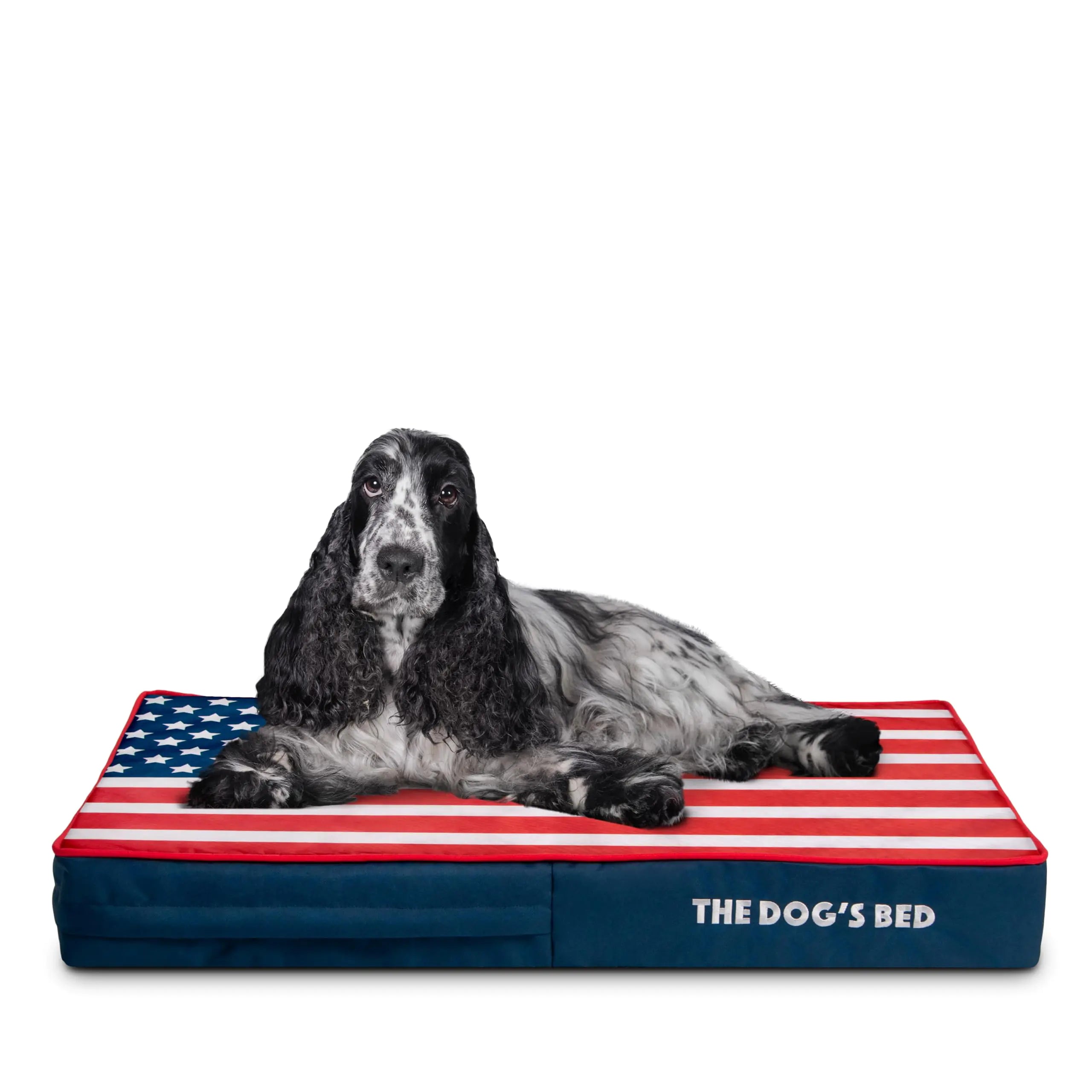 Patriotic Orthopedic Dog Bed