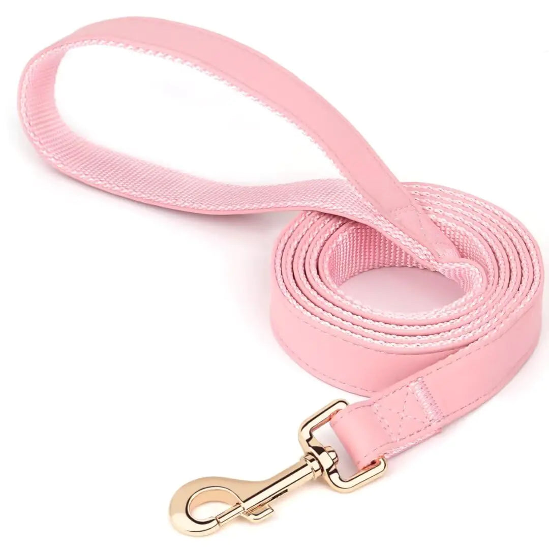 PET ARTIST Leather Dog Leash for SM, MD, & LG Dogs, 5 ft.