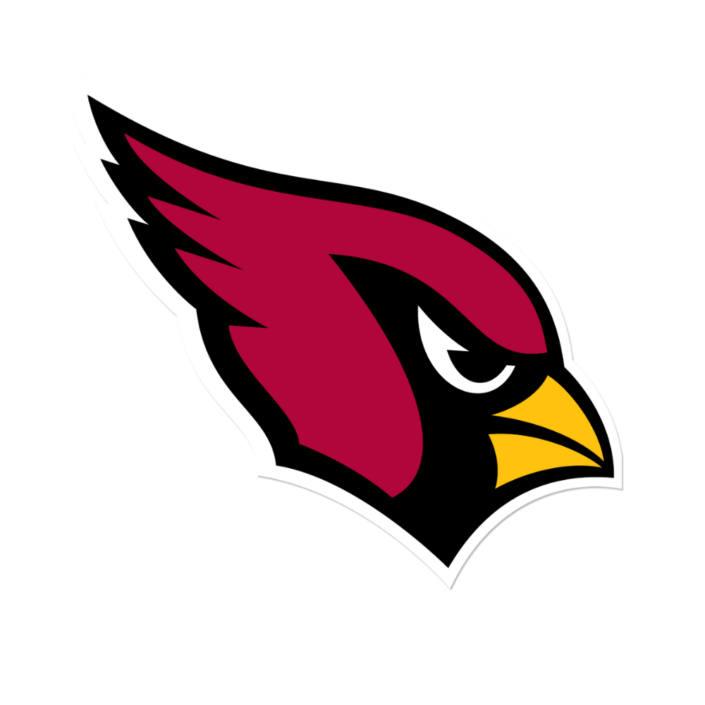Arizona Cardinals Pet Striped Jersey