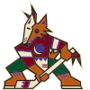 Arizona Coyotes Pet Jersey