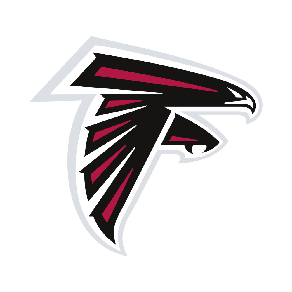 Atlanta Falcons Pet Striped Jersey