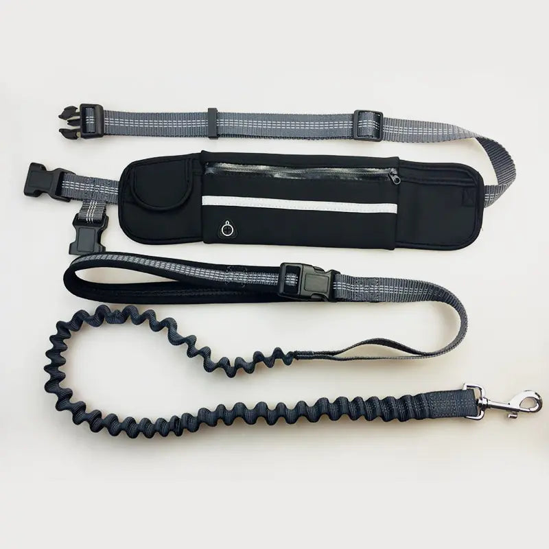 Hands-Free Shock Absorbing Bungee Dog Leash