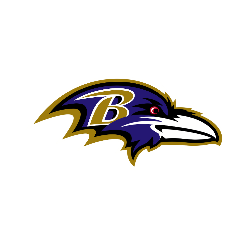 Baltimore Ravens Pet Striped Jersey