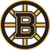 Boston Bruins Pet Jersey
