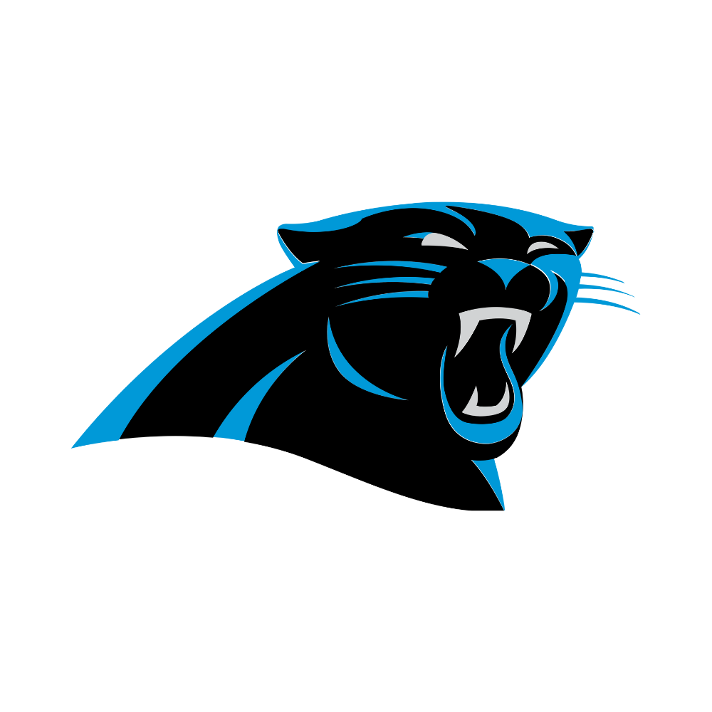 Carolina Panthers Pet Striped Jersey