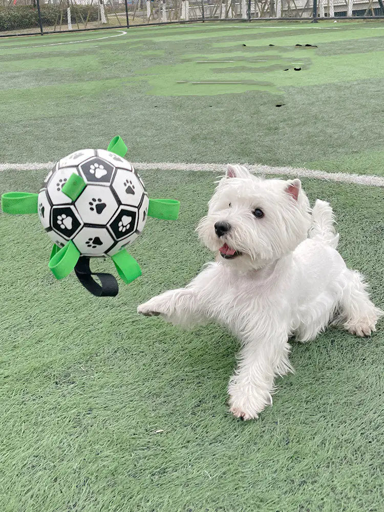 The Dog's Football Toy