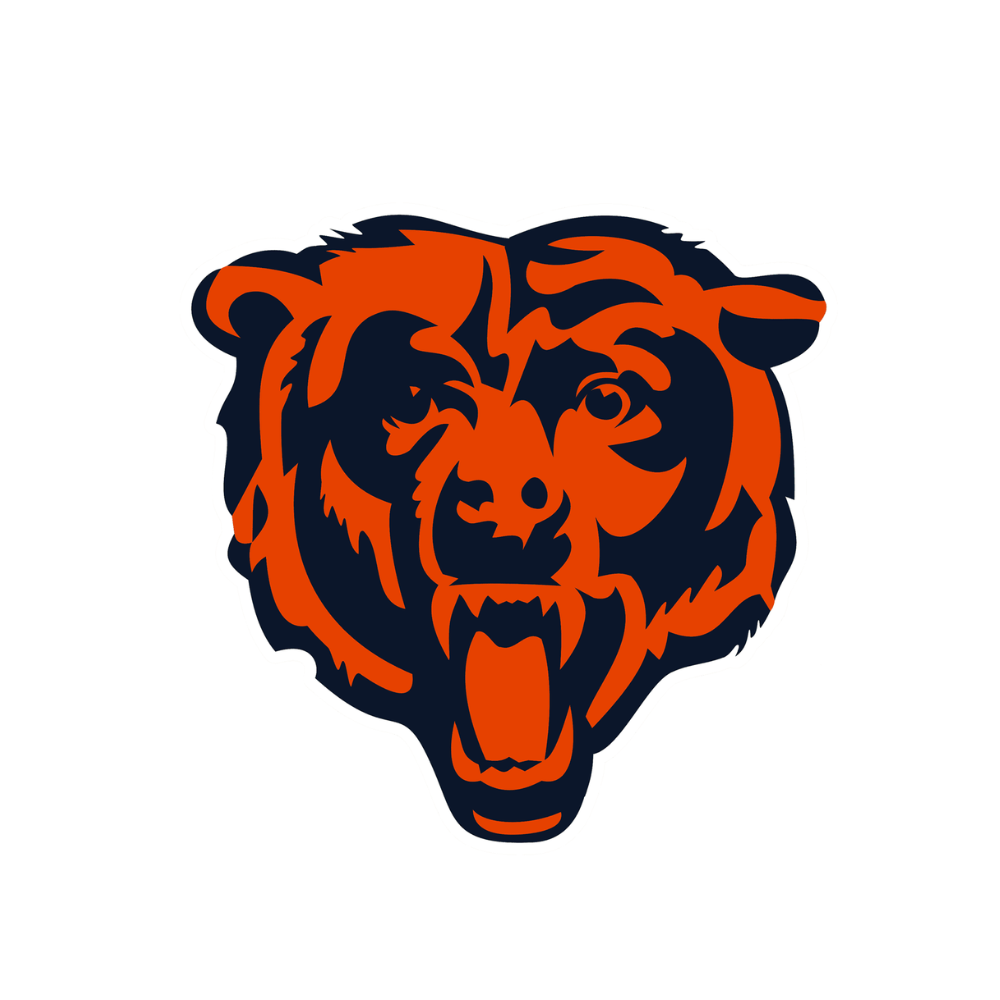 Chicago Bears Pet Striped Jersey
