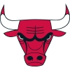 Chicago Bulls Basketball Mesh Jersey