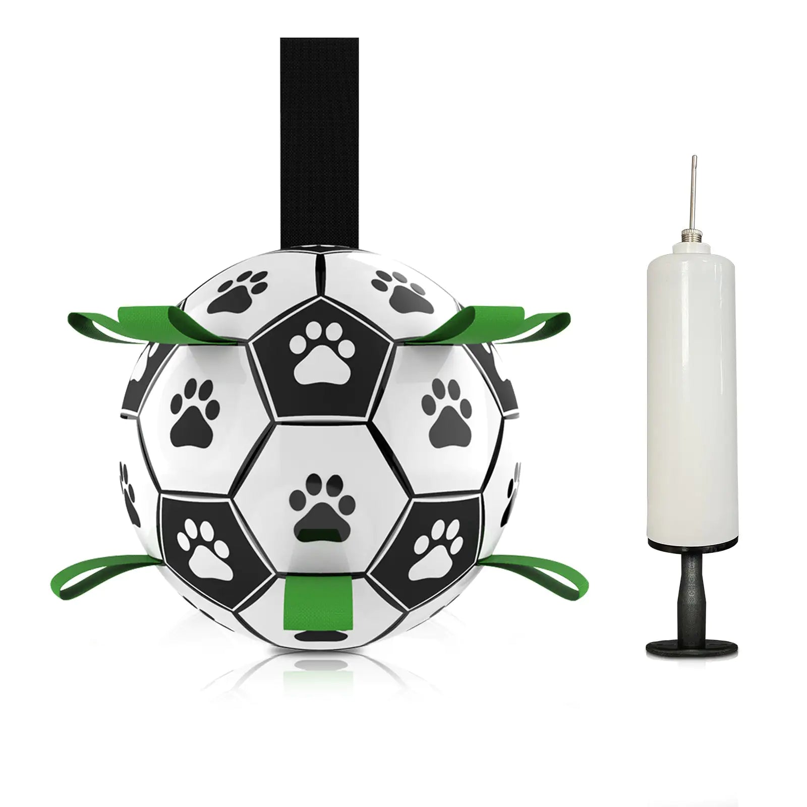 The Dog's Football Toy