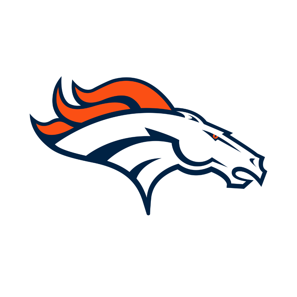 Denver Broncos Pet Striped Jersey