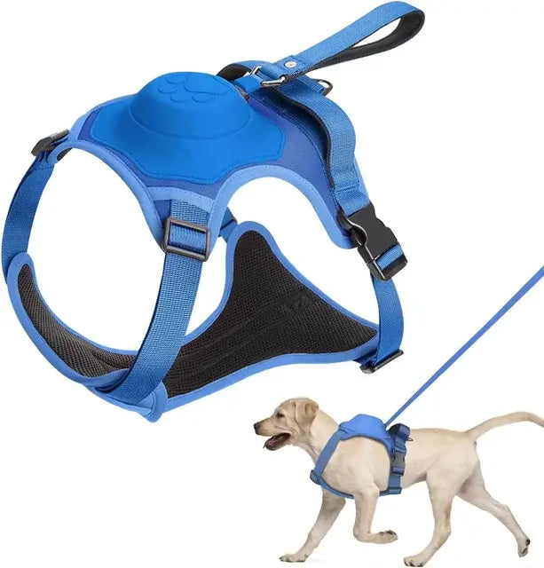 Practical Dog Harness and Retractable Leash Set