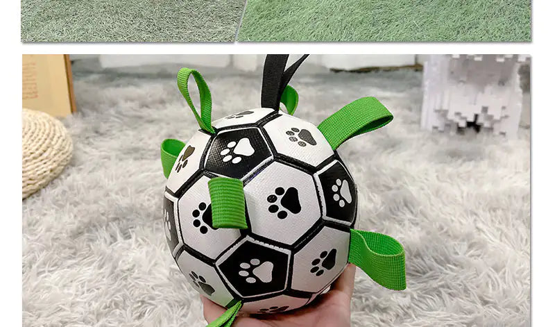 The Dog's Football Toy