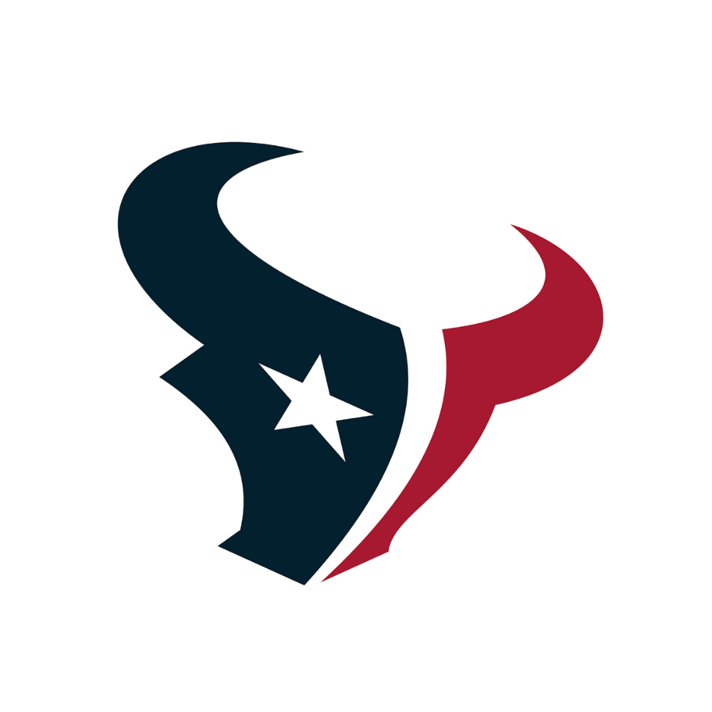 Houston Texans Pet Striped Jersey