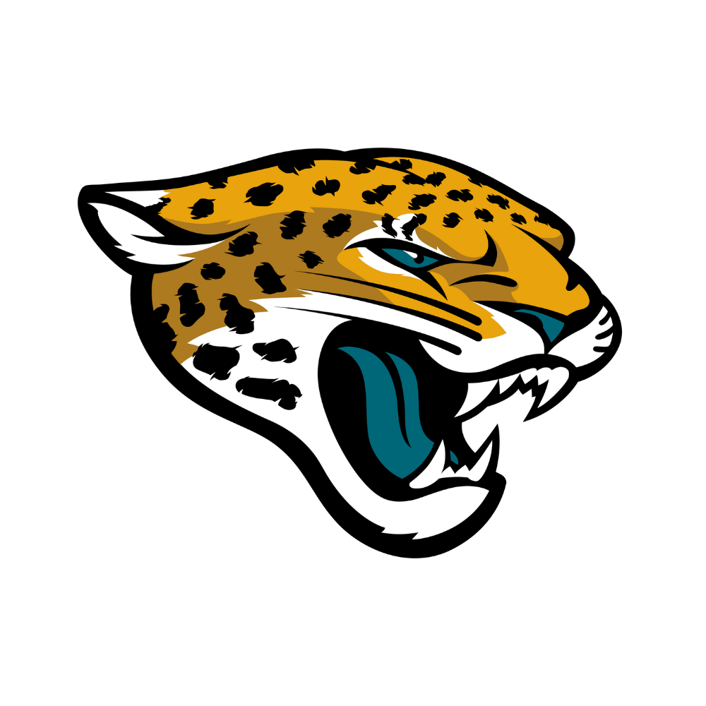 Jacksonville Jaguars Pet Striped Jersey