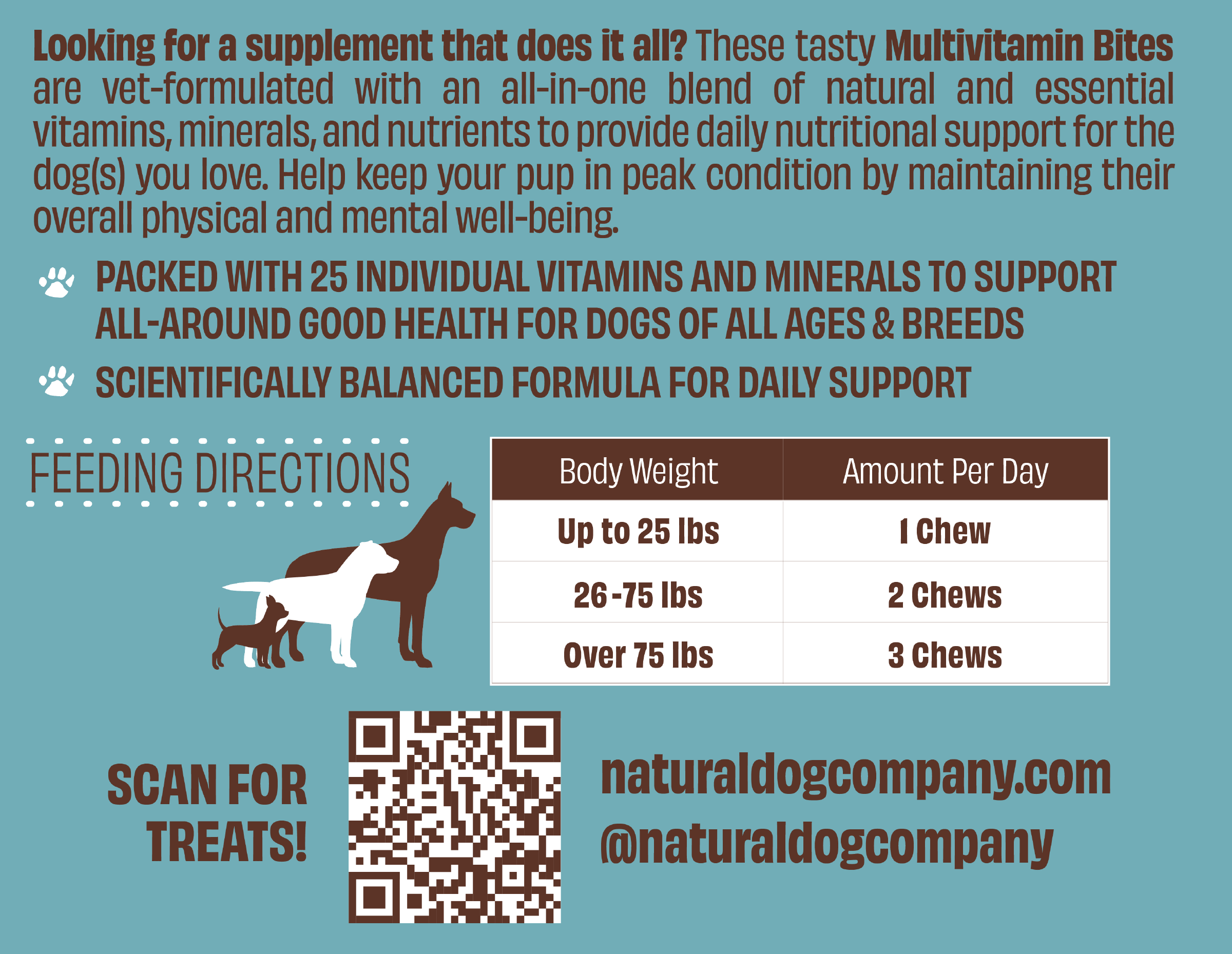 Multivitamin Supplement