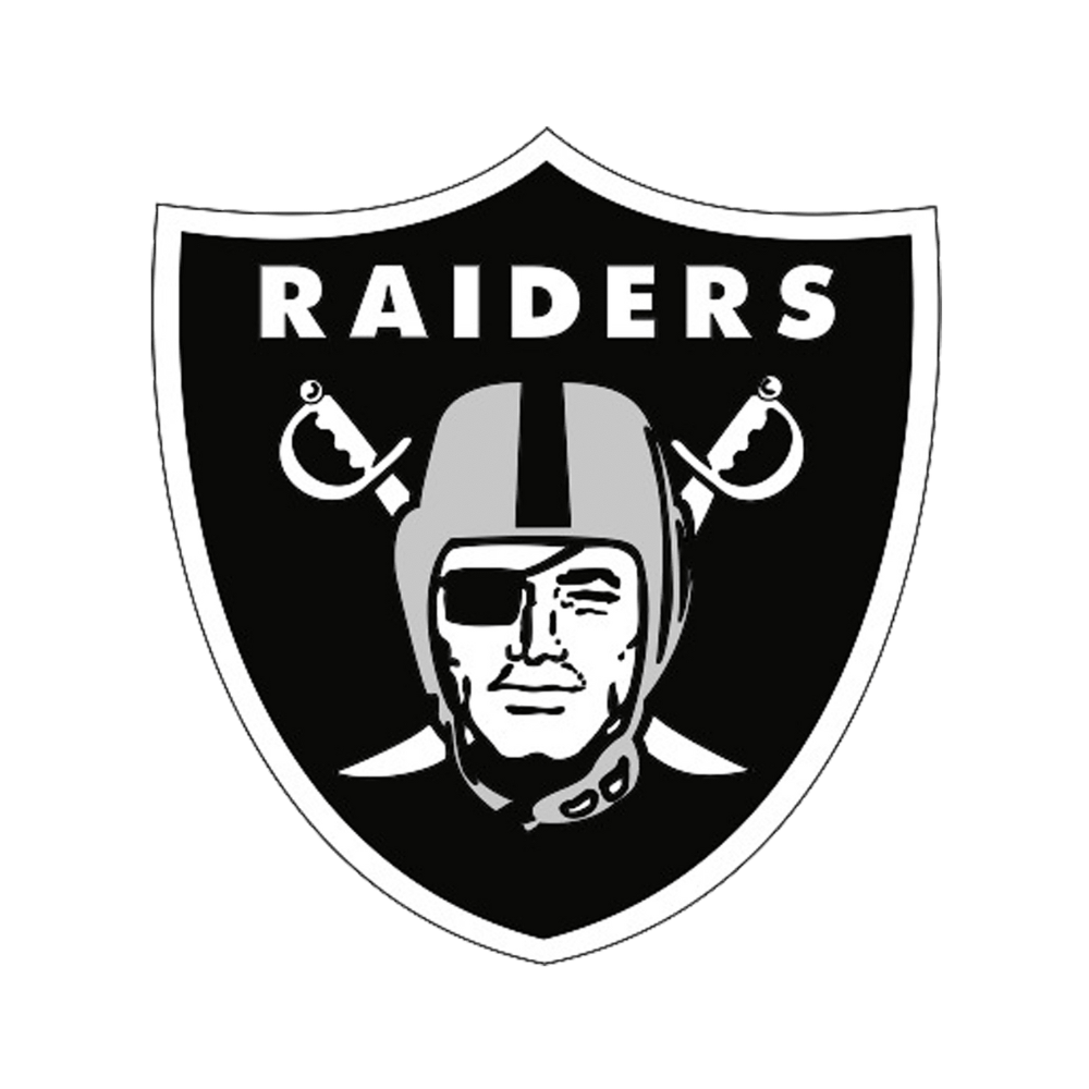 Las Vegas Raiders Pet Striped Jersey