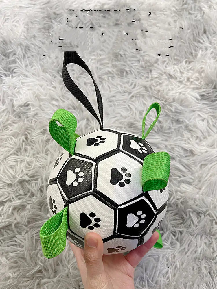 The Dog's Football Toy