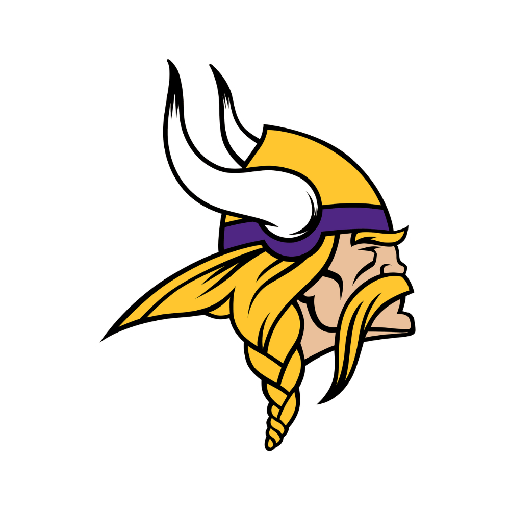 Minnesota Vikings Pet Striped Jersey
