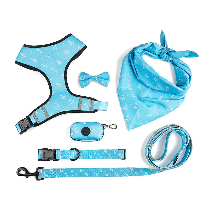 The Ultimate Leash, Harness, Scarf, and Bow Set