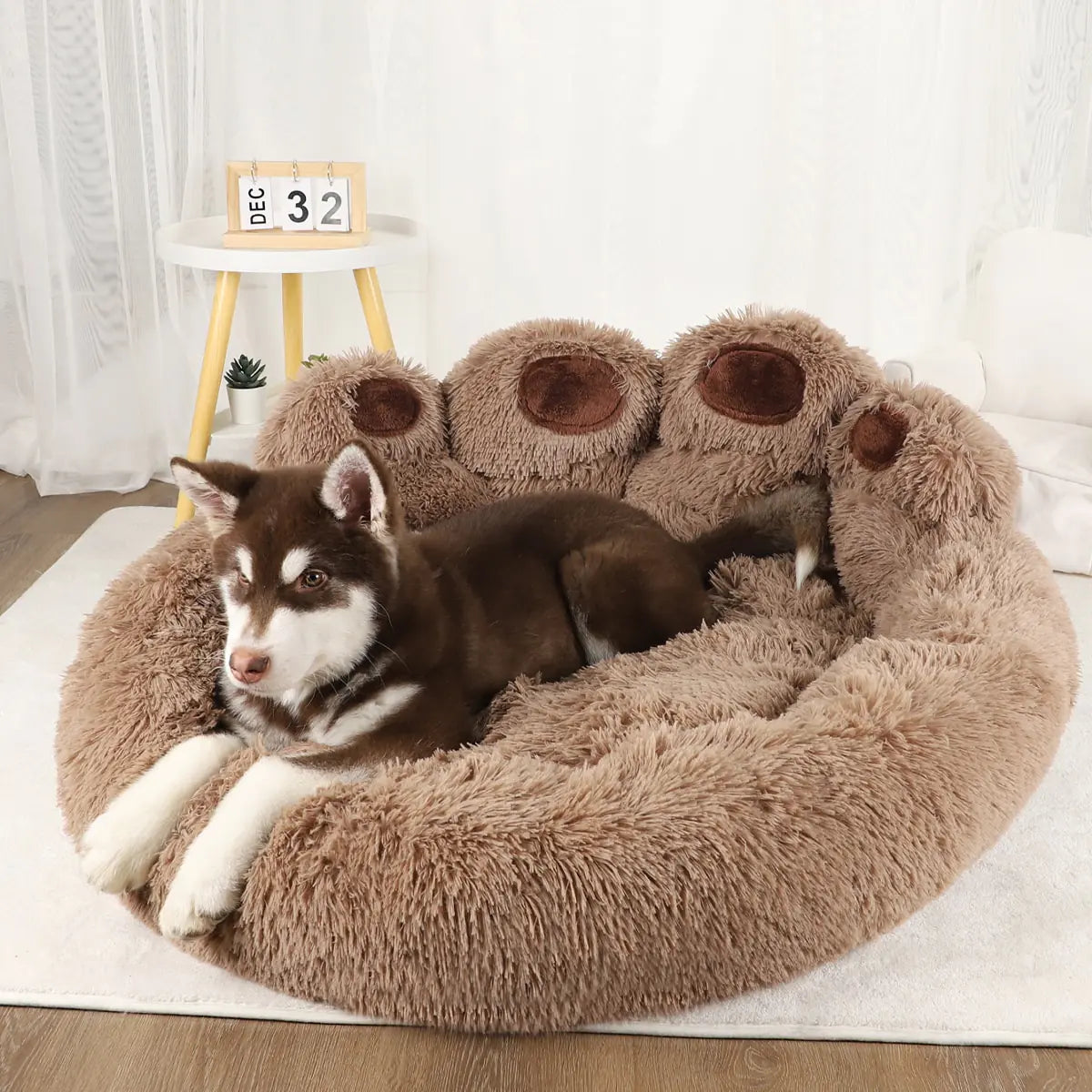 Big Paw Plush Dog Bed